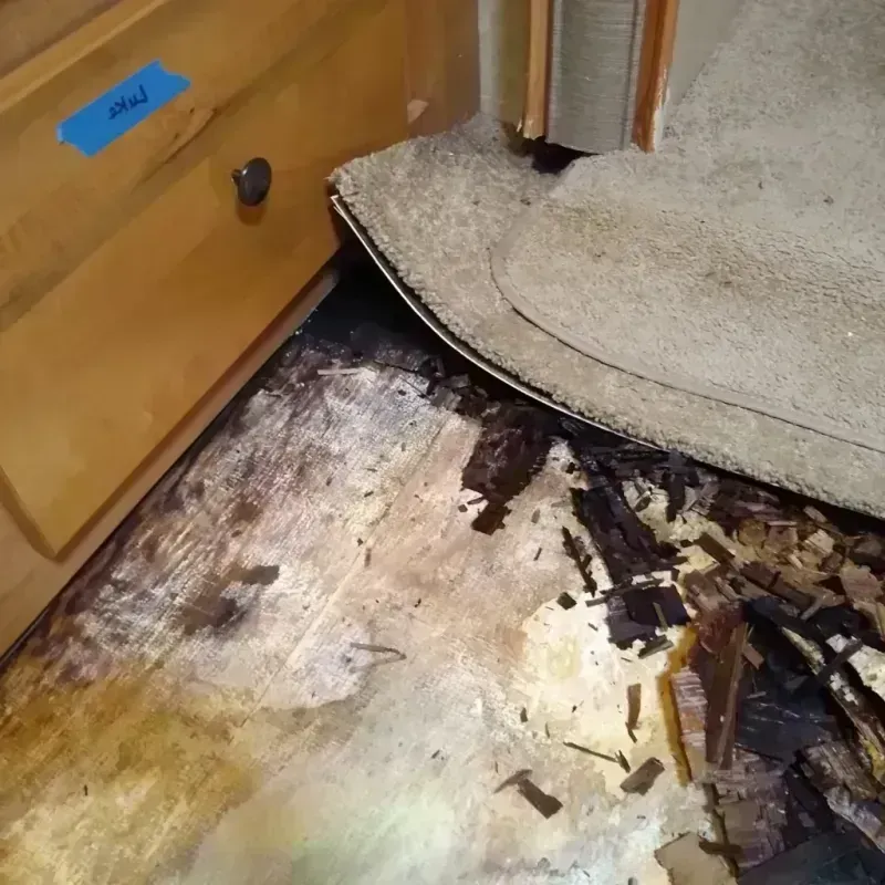 Wood Floor Water Damage in Wright County, MO